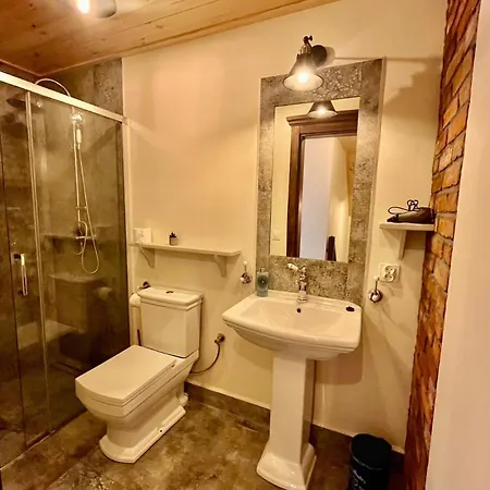 Dworek Wdzydze Apartment *