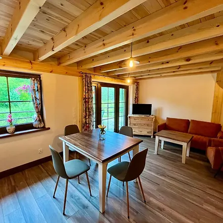 Dworek Wdzydze Apartment *